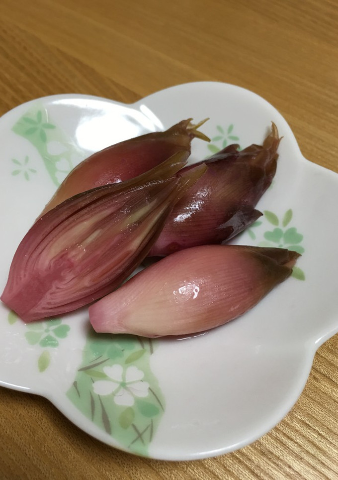 母の味♡みょうがのしそ味大根酢漬け♪-レシピのメイン写真