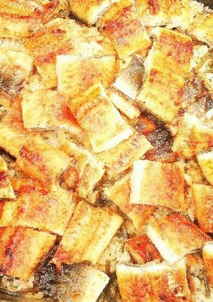 うなぎと緑茶の炊き込みご飯✨-レシピのメイン写真