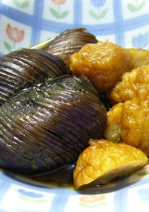 なすの煮浸し-レシピのメイン写真