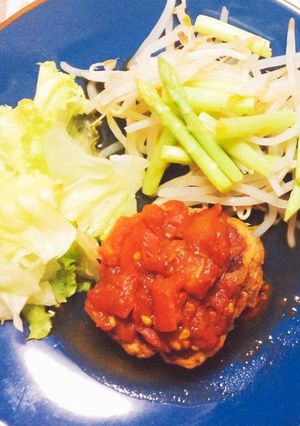 豚ミンチとおからのハンバーグ-レシピのメイン写真