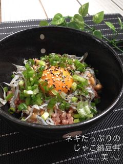ネギたっぷりじゃこのせ納豆丼-レシピのメイン写真