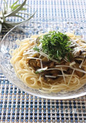 ちょい辛ひやむぎ♪茄子と豚肉のっけ盛り-レシピのメイン写真