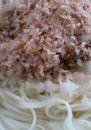 フライパンで★おろし納豆エノキ釜揚うどん-レシピのメイン写真