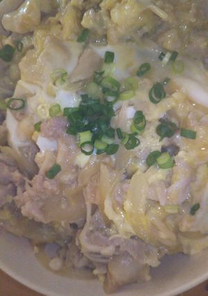 ニートの他人丼-レシピのメイン写真