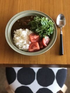 パクチーもりもりエスニックカレー-レシピのメイン写真