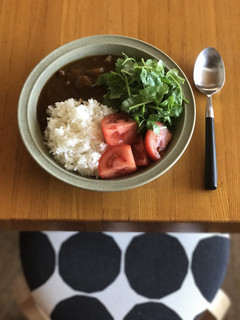 パクチーもりもりエスニックカレー-レシピのメイン写真