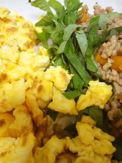 三色そぼろご飯(四色あります・・)-レシピのメイン写真