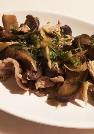 豚肉と茄子のさっぱりポン酢炒め-レシピのメイン写真