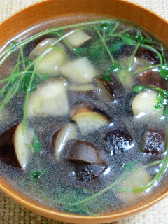 茄子と豆苗のスープ-レシピのメイン写真