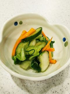 白菜とキュウリとにんじん✩浅漬け-レシピのメイン写真