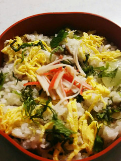 アジと夏野菜でさっぱり薬味寿司-レシピのメイン写真