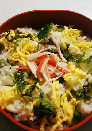 アジと夏野菜でさっぱり薬味寿司-レシピのメイン写真