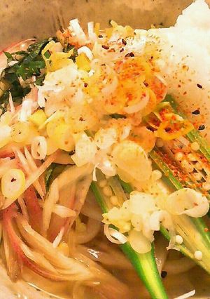 ズボラメシ。薬味たっぷりのおろしうどん-レシピのメイン写真