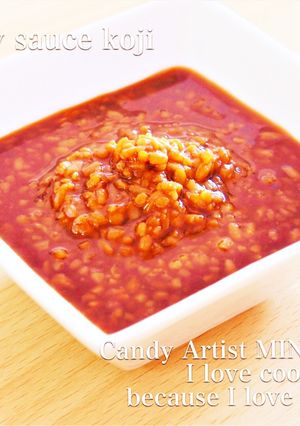 何でも美味しくなる魔法の醤油麹-レシピのメイン写真