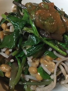 オクラと納豆の味噌だれ蕎麦-レシピのメイン写真