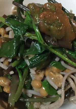 オクラと納豆の味噌だれ蕎麦-レシピのメイン写真