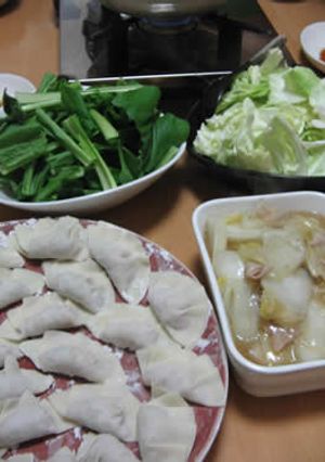 お鍋で水餃子-レシピのメイン写真