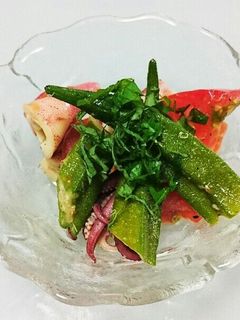 ボイルやりいかとオクラ&トマトのサラダ-レシピのメイン写真