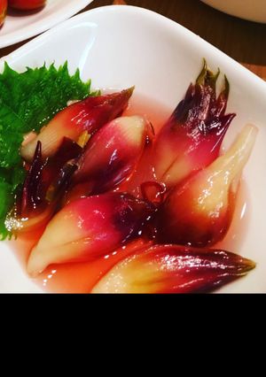 ミョウガの日持ちに 酢漬け-レシピのメイン写真