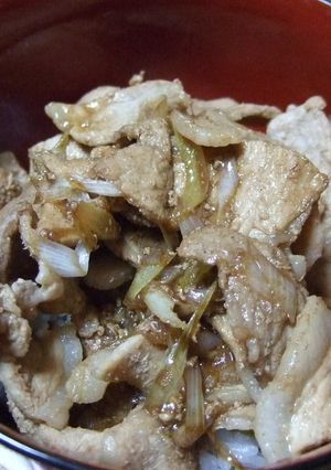 超簡単・忙しい日に★ソース丼-レシピのメイン写真