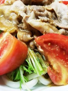 冷やしうどんゴマポン-レシピのメイン写真