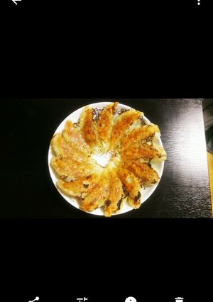お店に負けない餃子-レシピのメイン写真