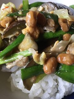 ニラ納豆スタミナ丼-レシピのメイン写真