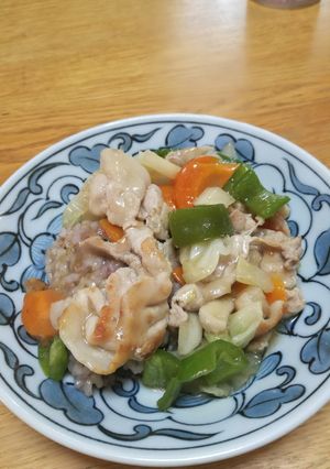 野菜たっぷり★あんかけごはん-レシピのメイン写真