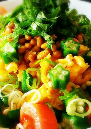 一品で栄養満点！カラフルネバネバ素麺-レシピのメイン写真