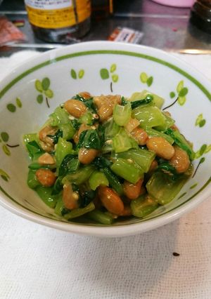 小松菜と納豆の味噌和え-レシピのメイン写真