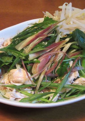 簡単！鶏ささみの香味野菜たっぷりサラダ-レシピのメイン写真