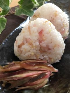 夏の香り♡茗荷の大根酢漬けのおにぎり♪-レシピのメイン写真