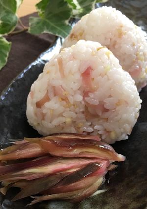 夏の香り♡茗荷の大根酢漬けのおにぎり♪-レシピのメイン写真