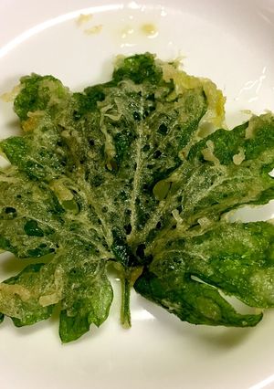 ゴーヤの葉の天ぷら 葉っぱ とワタ-レシピのメイン写真