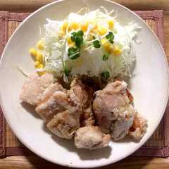 รูปของ からあげ