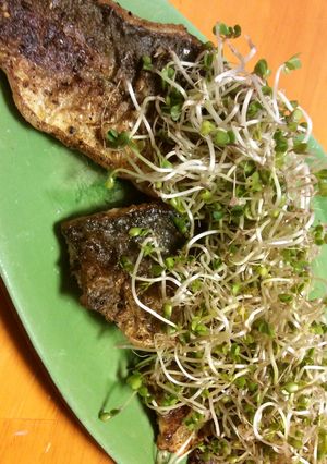 アジのスパイス焼き-レシピのメイン写真