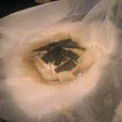 関サバの味噌蒸し♪