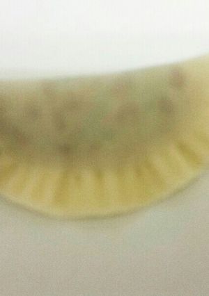 納豆餃子-レシピのメイン写真
