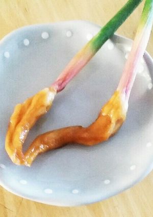 生姜の醤油漬け-レシピのメイン写真