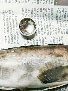 安全!キレイ♪簡単☆魚のウロコ取り☆-レシピのメイン写真