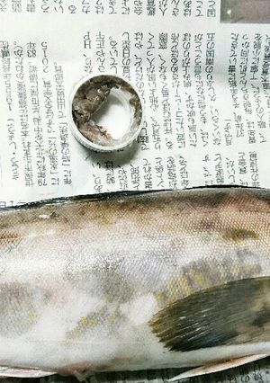 安全！キレイ♪簡単☆魚のウロコ取り☆-レシピのメイン写真