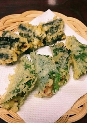納豆とクリームチーズの天ぷら-レシピのメイン写真