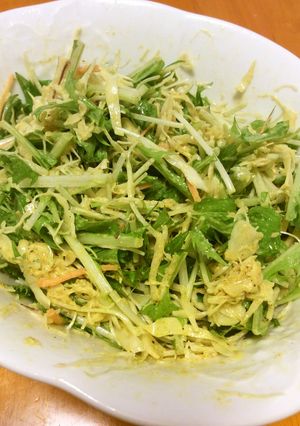 水菜と千切りキャベツのスパイシーサラダ-レシピのメイン写真