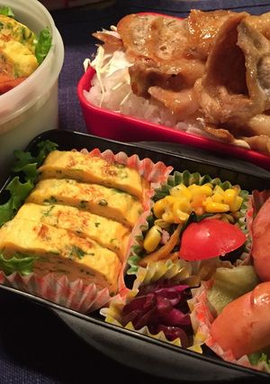 男子高校生のお弁当∞日目-レシピのメイン写真