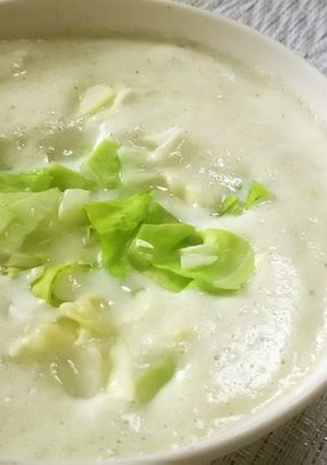 キャベツの豆乳スープ-レシピのメイン写真