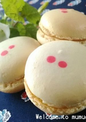 夏のスイーツ♡甘酸っぱい杏仁マカロン-レシピのメイン写真