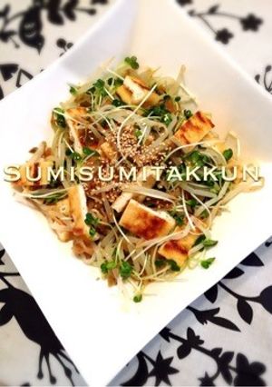 カイワレと搾菜のサラダ☆-レシピのメイン写真