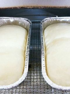 超~カンタン 白パンφ(c・ω・ )ψ-レシピのメイン写真