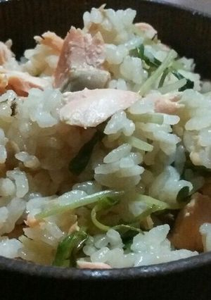 銀鮭と豆苗のヘルシー炊き込みご飯-レシピのメイン写真