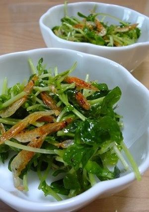 豆苗と桜えびのオリーブオイル和え-レシピのメイン写真